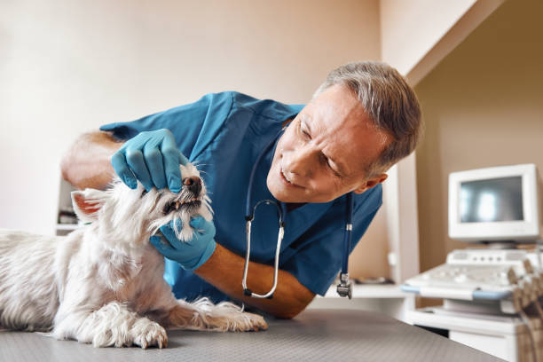 Best 24-Hour Emergency Dentist in Byram, MS